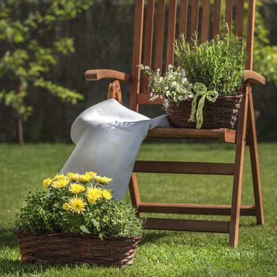 Květináč ovál hnědý P0992/3 - 40 x 17 x 12 cm{% if product.brand.name %} – Morex{% endif %}