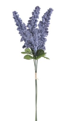 Amaranthus  - modrý 3 ks{% if product.brand.name %} – Canea{% endif %}