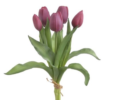 Svazek tulipánů 5 ks - tmavě růžová{% if product.brand.name %} – Canea{% endif %}