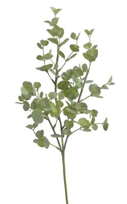 Eukalyptus 48cm - zelená světlá{% if product.brand.name %} – Canea{% endif %}