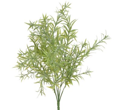 Rozmarýn - zelená světlá{% if product.brand.name %} – Canea{% endif %}