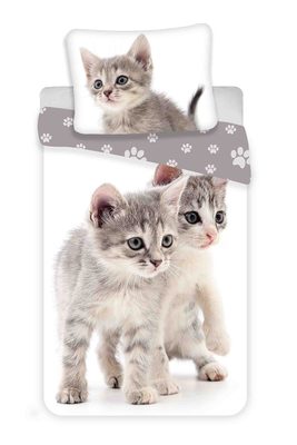 Povlečení Kitten grey 140x200, 70x90 cm – fotka 2