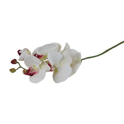 Umělá orchidej X4920-02 - 14 x 7 x 72 cm{% if product.brand.name %} – Morex{% endif %}