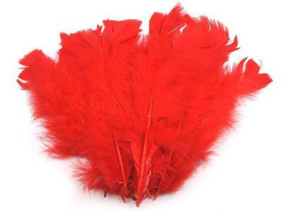 Krůtí peří délka 11-17 cm{% if variant.name %} – 4 červená šarlatová{% endif %}