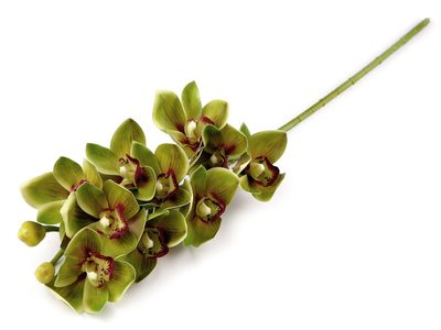 Umělá orchidej dlouhá{% if variant.name %} – 2 zelená sv.{% endif %}