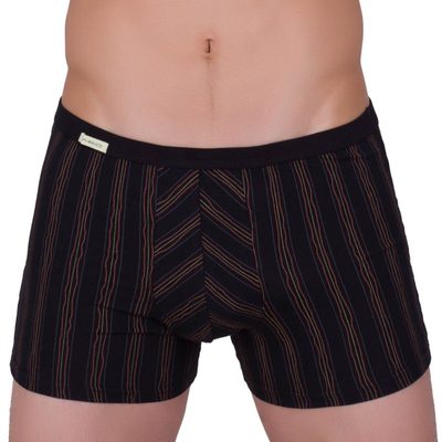 Pánské boxerky Alvaro 02/1-13/232 proužek – fotka 2