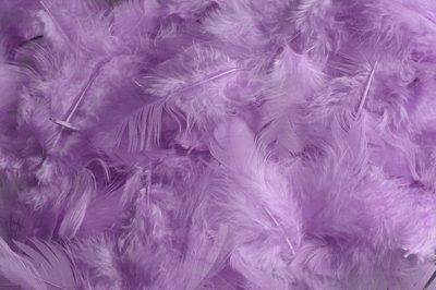 Lila peří 10g{% if product.brand.name %} – Canea{% endif %}
