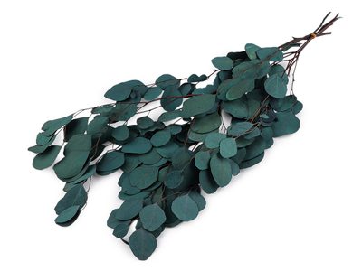 Stabilizovaný eukalyptus svazek{% if variant.name %} – 2 petrolejová{% endif %}