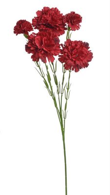 Kytice trsový karafiát 61 cm - červená{% if product.brand.name %} – Canea{% endif %}