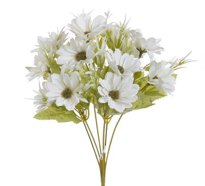 Kytice chryzantémy - bílá{% if product.brand.name %} – Canea{% endif %}