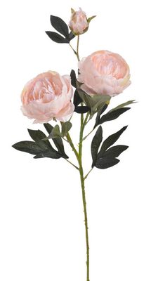 Pivoňka velká 72 cm - světlá růžová{% if product.brand.name %} – Canea{% endif %}