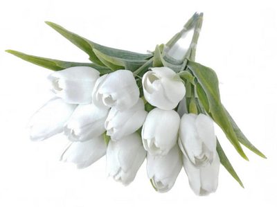 Umělé tulipány s listem 6 ks - bílá{% if product.brand.name %} – Canea{% endif %}
