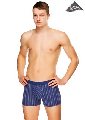 Pánské boxerky Alvaro 02/1-13/460 proužek{% if product.brand.name %} – Fabio{% endif %}