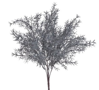 Asparagus trs x7 - šedomodrá 30 cm{% if product.brand.name %} – Canea{% endif %}