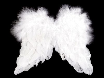 Dekorace andělská křídla 21x25 cm{% if product.brand.name %} – Stoklasa{% endif %}
