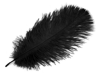 Pštrosí peří délka cca 20-25 cm 2 kusy{% if product.brand.name %} – Galanterka{% endif %}