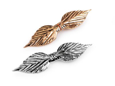 Spona / ozdobné zapínání + šroubky 2,8x11,6 cm{% if product.brand.name %} – Stoklasa{% endif %}