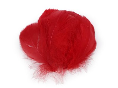 Pštrosí peří délka 6-11 cm{% if variant.name %} – 4 červená{% endif %}