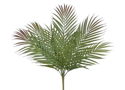 Palmové listy trs 60 cm{% if product.brand.name %} – Canea{% endif %}