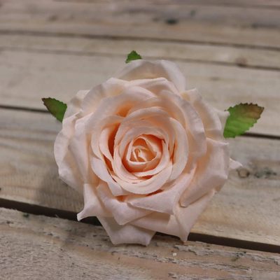 Květ růže meruňková, 12 ks 371211-26 - dia 8 x 5 cm{% if product.brand.name %} – {% endif %}