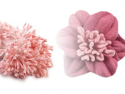 Pestíky ploché 6 cm velký svazek{% if product.brand.name %} – Stoklasa{% endif %}