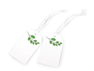 Papírová visačka / jmenovka s potiskem 50x90 mm  4 kusy{% if variant.name %} – 2 bílá zelená{% endif %}
