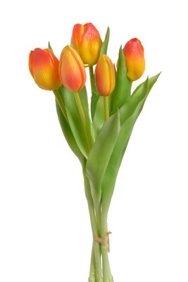 Svazek tulipánů (5 ks) - žlutočervená 30 cm{% if product.brand.name %} – Canea{% endif %}