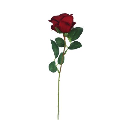 Růže červená X5791-08 - dia 7 x 4,5/50 cm{% if product.brand.name %} – Morex{% endif %}