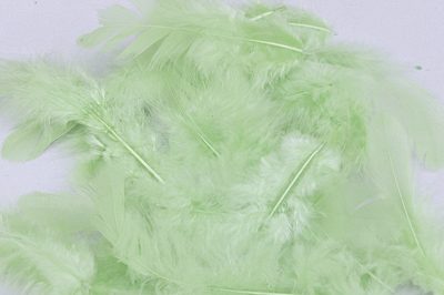 Peří světle zelená mint 10g{% if product.brand.name %} – Canea{% endif %}