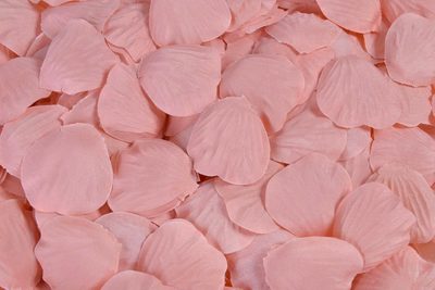 Plátky růží 25 g pudrová růžová{% if product.brand.name %} – Canea{% endif %}