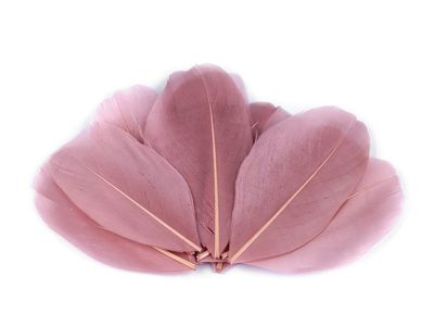Husí peří délka 5,5-7 cm{% if variant.name %} – 2 starorůžová{% endif %}