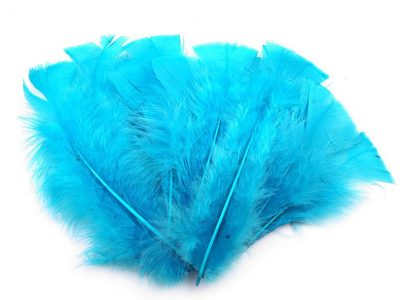 Krůtí peří délka 11-17 cm{% if variant.name %} – 3 modrá sytá{% endif %}
