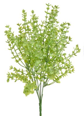 Drobnolistý eukalyptus trs - zelená světlá{% if product.brand.name %} – Canea{% endif %}