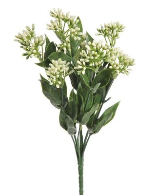 Umělá kytice Kalanchoe bílá 30 cm{% if product.brand.name %} – Canea{% endif %}