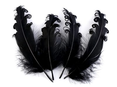 Husí peří kudrnaté délka 12-18 cm sada 4 kusy{% if variant.name %} –  7 černá {% endif %}
