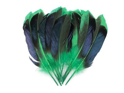 Kachní peří délka 13-15 cm{% if variant.name %} – 2 zelená{% endif %}