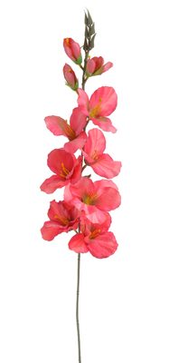 Umělý mečík růžový 77 cm{% if product.brand.name %} – Canea{% endif %}