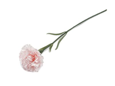 Umělý karafiát{% if variant.name %} – 2 růžová nejsv.{% endif %}