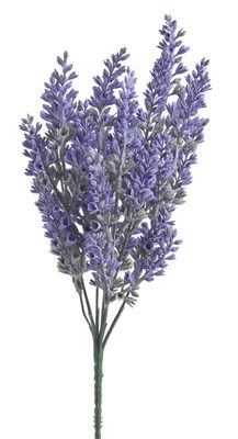 Levandule trs - fialová{% if product.brand.name %} – Canea{% endif %}