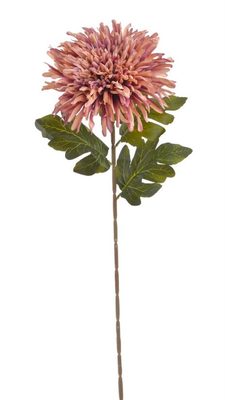 Chryzantéma 72 cm - starorůžová/fialová žíhaná{% if product.brand.name %} – Canea{% endif %}