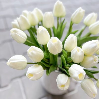 Tulipán pěnový (5 ks) - bílá se zeleným nádechem 30 cm – fotka 2