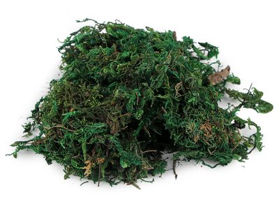 Dekorační mech 25 g{% if variant.name %} – 2 zelená{% endif %}