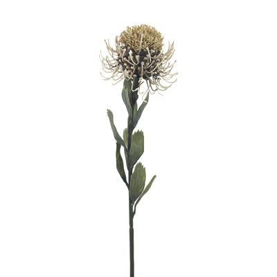 Okrasný bodlák X6849-20 - 60 cm{% if product.brand.name %} – Morex{% endif %}