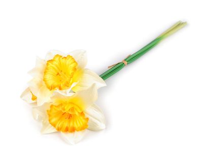 Umělý narcis svazek 3 ks{% if variant.name %} – 2 žlutá nejsv. oranžová{% endif %}