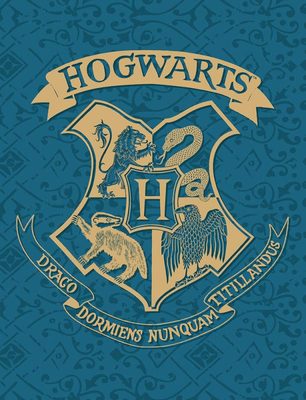 Fleece deka Harry Potter blue Polyester, 130/170 cm{% if product.brand.name %} – Halantex{% endif %}