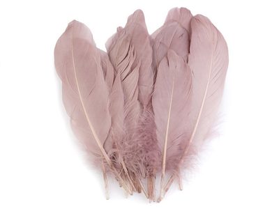 Husí peří délka 15-21 cm balení 5 kusů{% if product.brand.name %} – Galanterka{% endif %}
