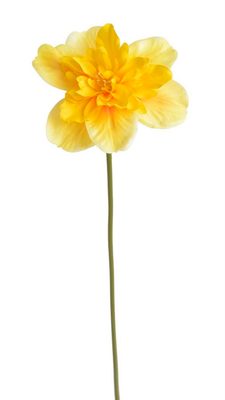 Umělý plnokvětý žlutý narcis{% if product.brand.name %} – Canea{% endif %}