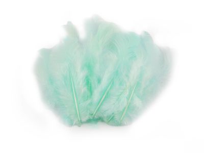 Slepičí peří délka 8-9 cm{% if variant.name %} – 7 mint{% endif %}