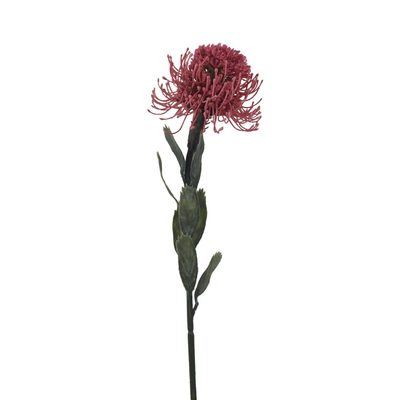 Okrasný bodlák X6849-07 - 60 cm{% if product.brand.name %} – Morex{% endif %}