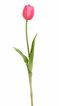 Tulipán 40 cm - červenorůžová